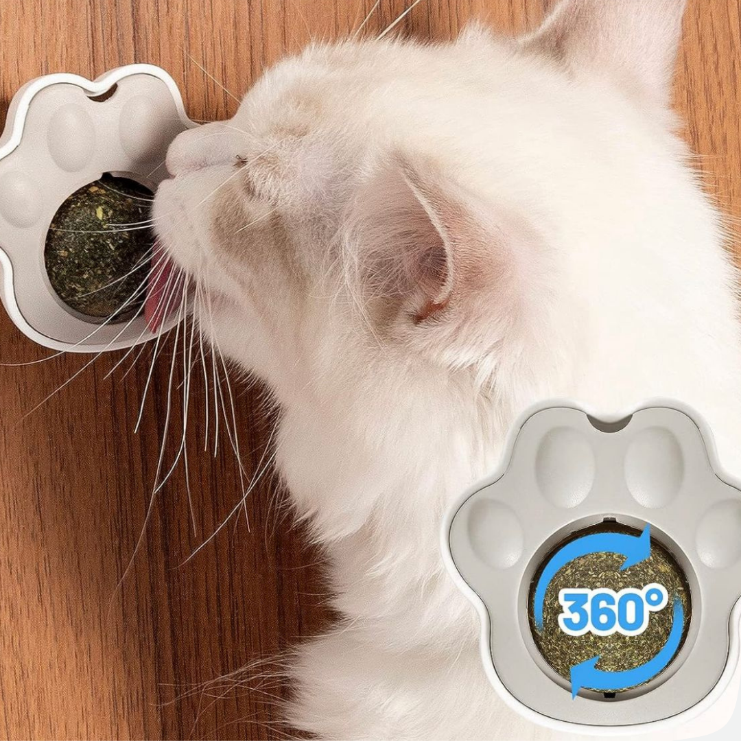 Juguete de catnip - en forma de pata