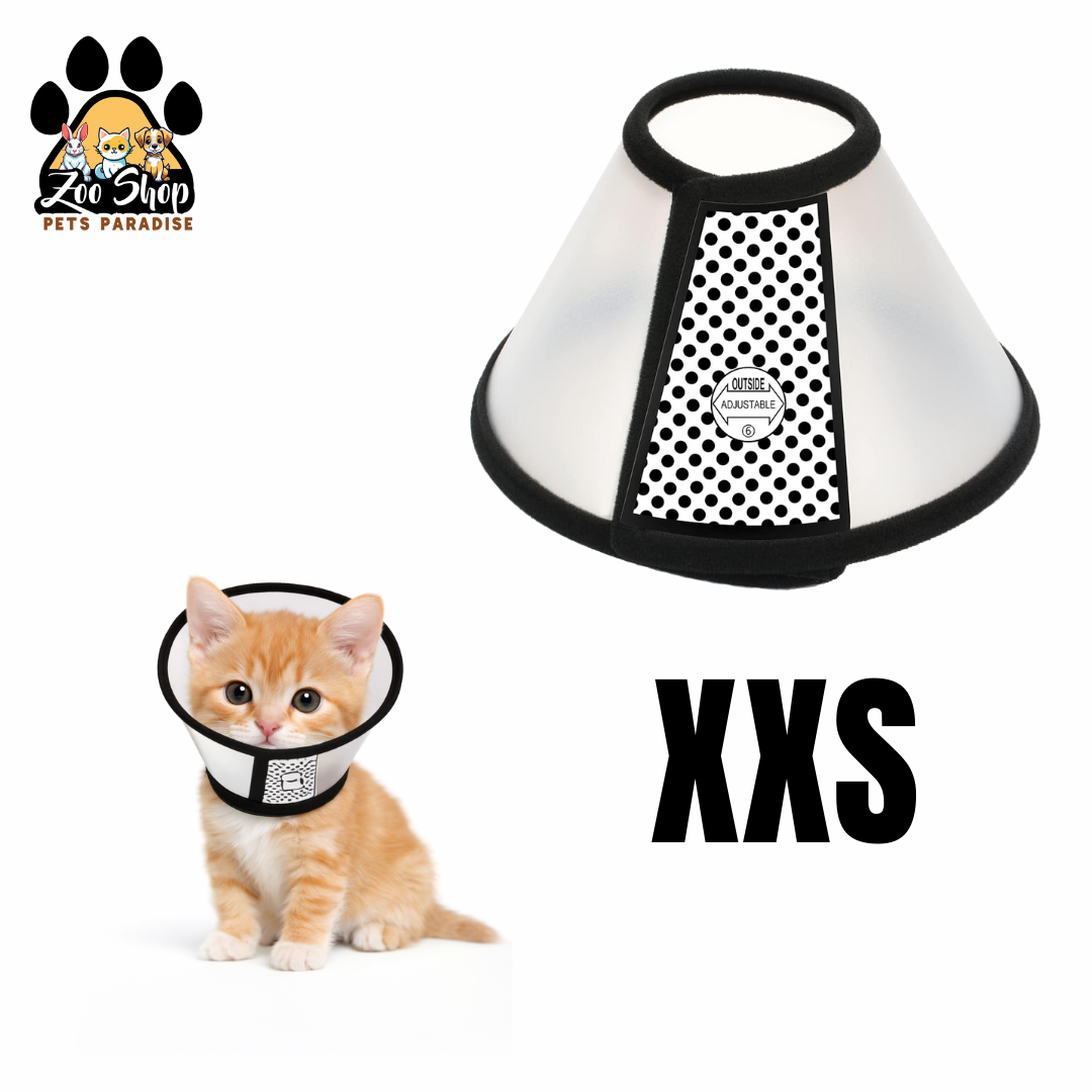 Collar Isabelino de Recuperación - Talla XXS