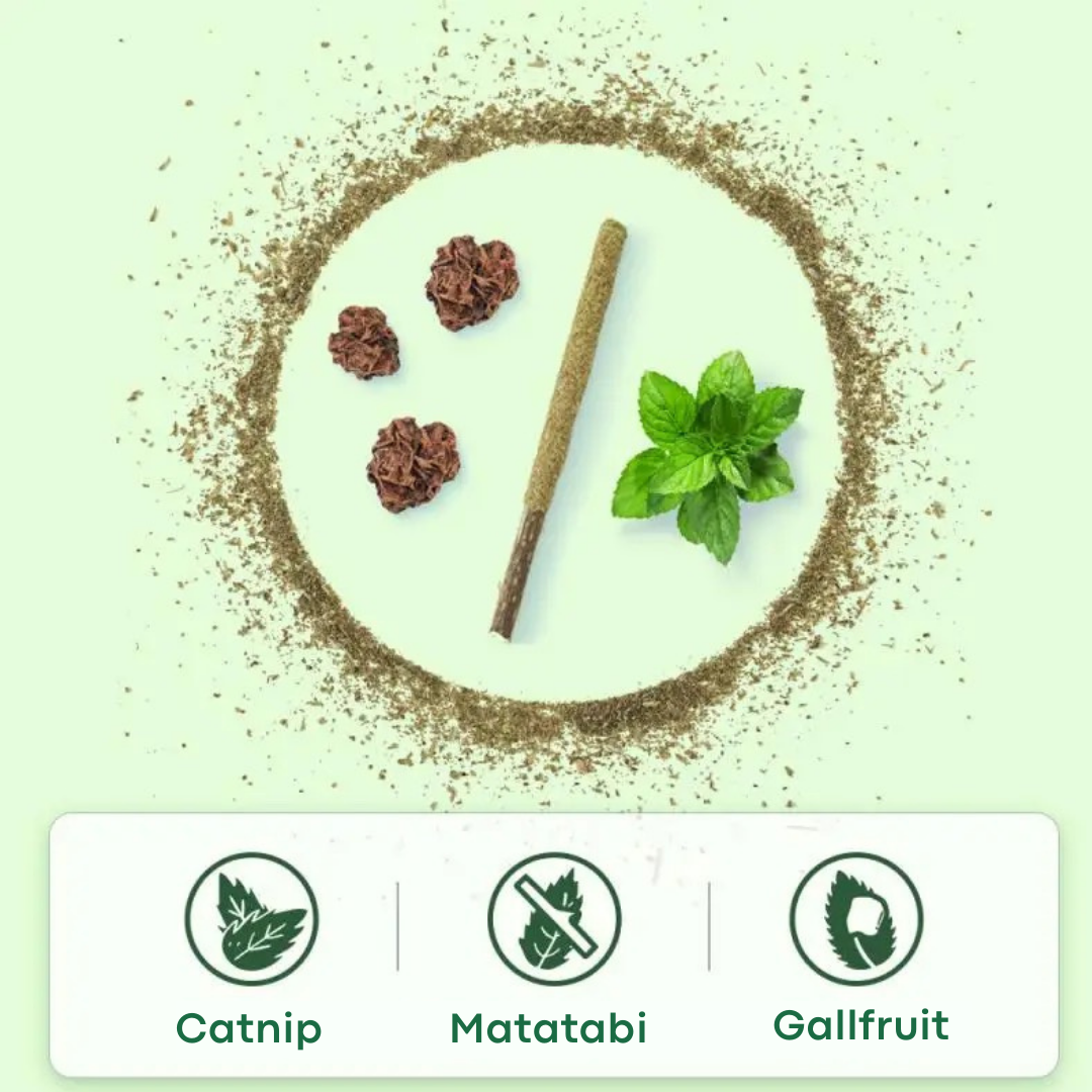 Palitos de matatabi saborizados