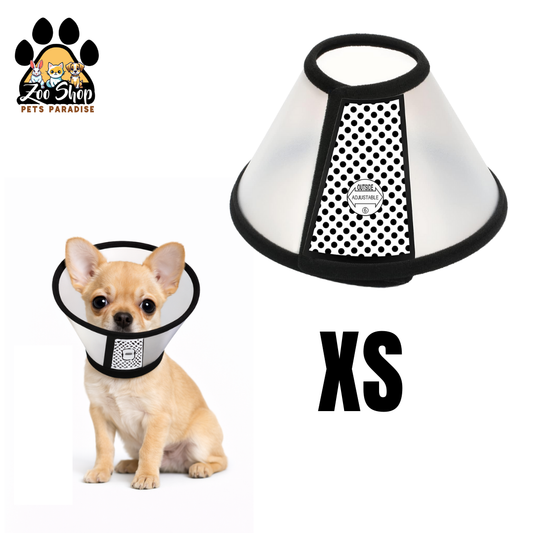 Collar Isabelino de Recuperación - Talla XS