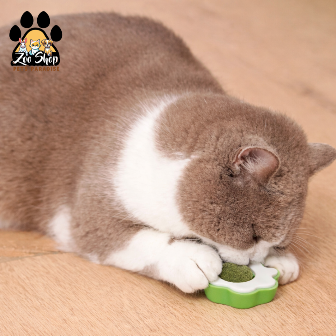 Juguete Adhesivo de Catnip - Color verde