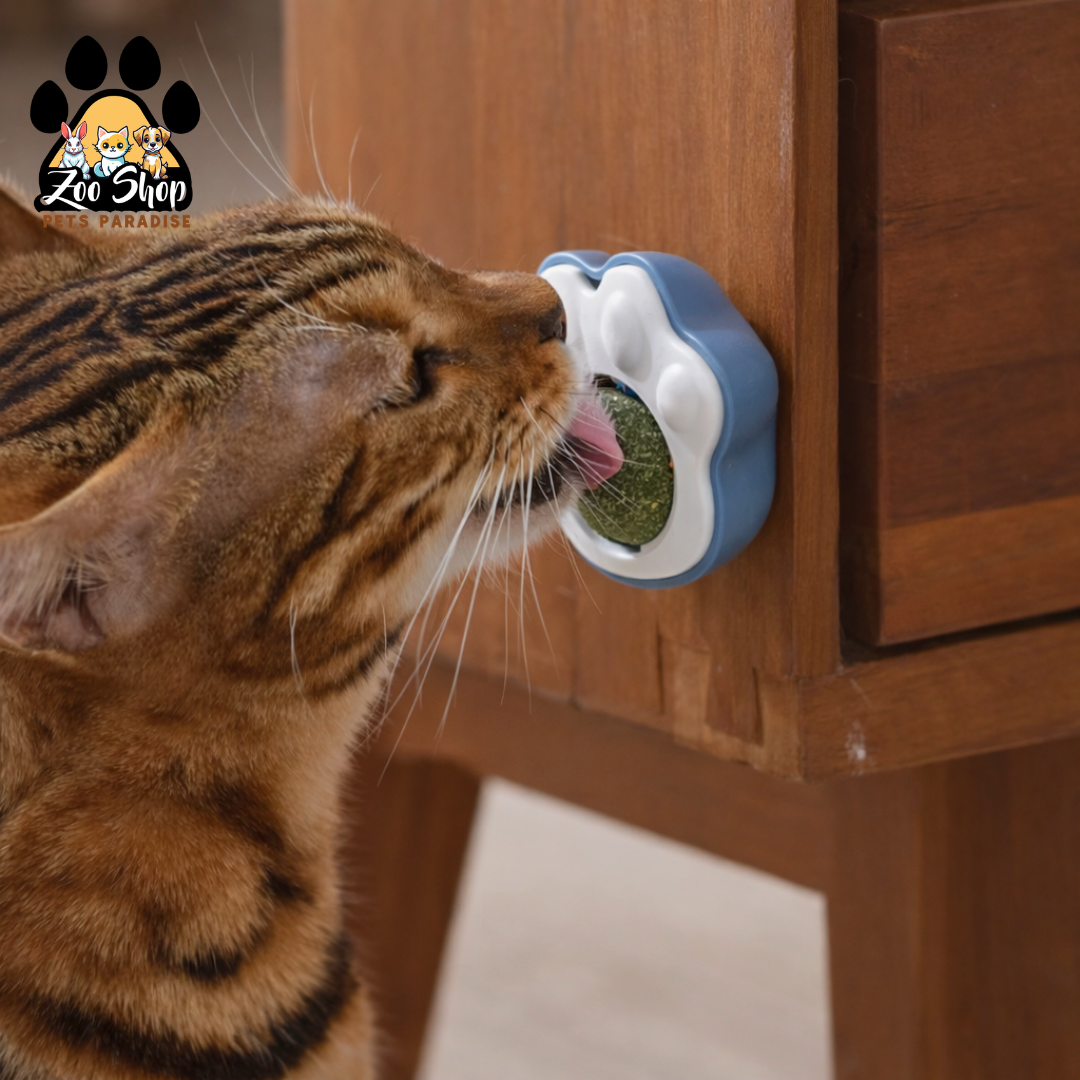 Juguete Adhesivo de Catnip - Color azul