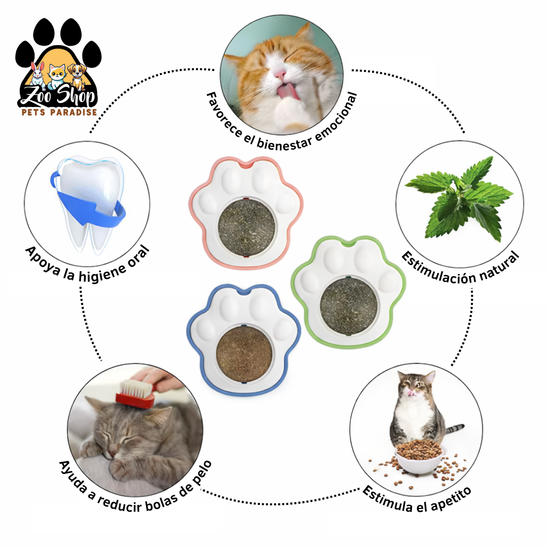 Juguete Adhesivo de Catnip - Color verde