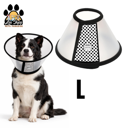 Collar Isabelino de Recuperación - Talla L