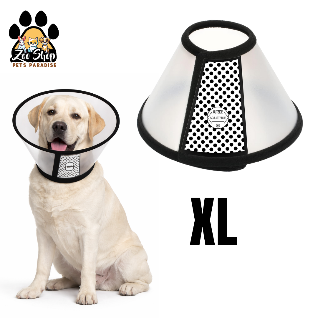 Collar Isabelino de Recuperación - Talla XL