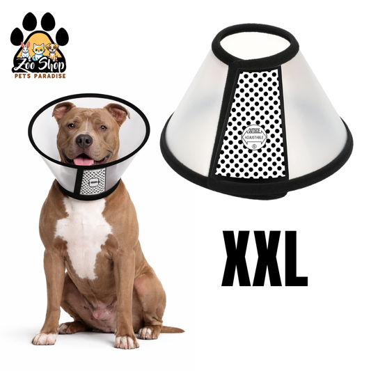 Collar Isabelino de Recuperación - Talla XXL