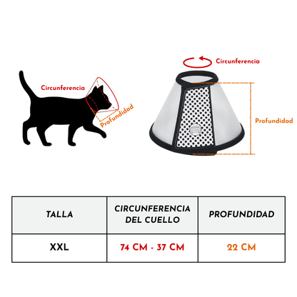 Collar Isabelino de Recuperación - Talla XXL
