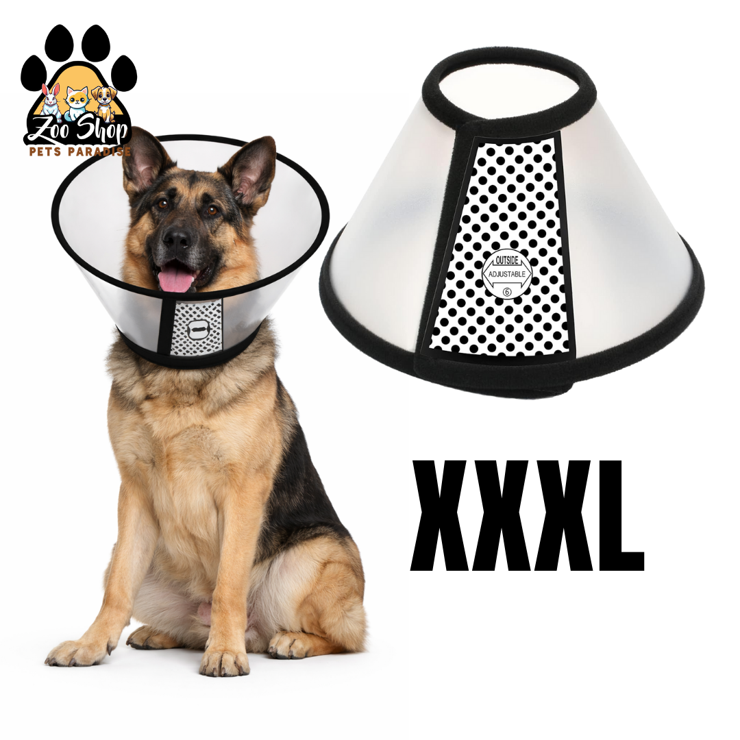 Collar Isabelino de Recuperación - Talla XXXL