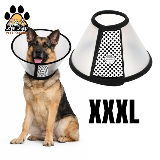 Collar Isabelino de Recuperación - Talla XXXL