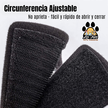 Collar Isabelino de Recuperación - Talla XXS