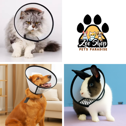 Collar Isabelino de Recuperación - Talla S