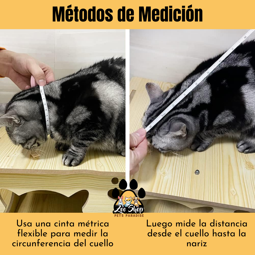 Collar Isabelino de Recuperación - Talla XXL