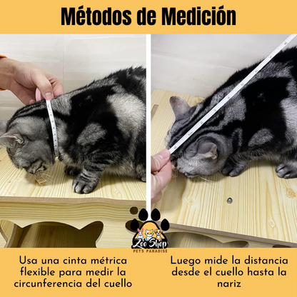 Collar Isabelino de Recuperación - Talla XXL