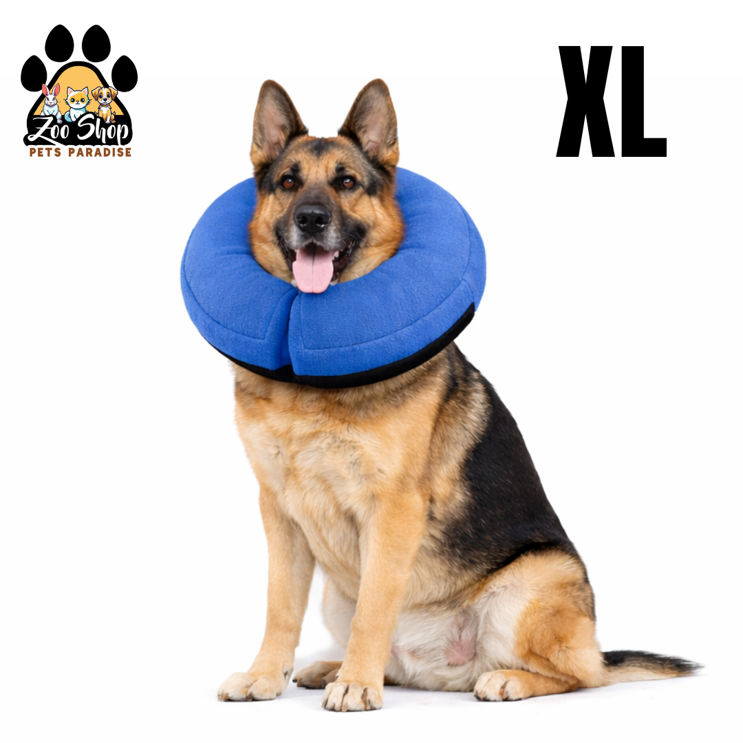 Collar de Recuperación Inflable y Ajustable - Talla XL - Color azul