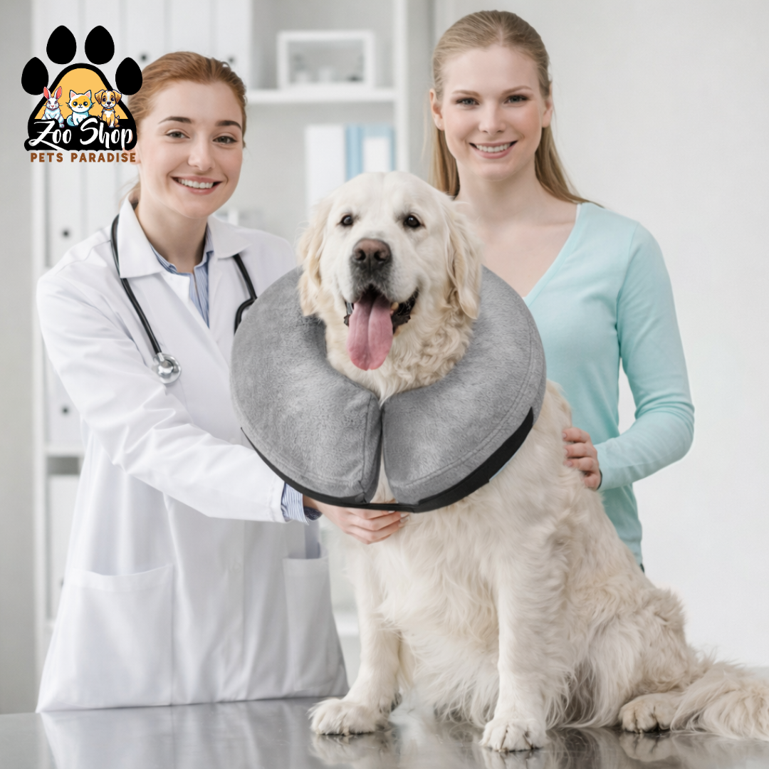 Collar de Recuperación Inflable y Ajustable - Talla XL - Color gris