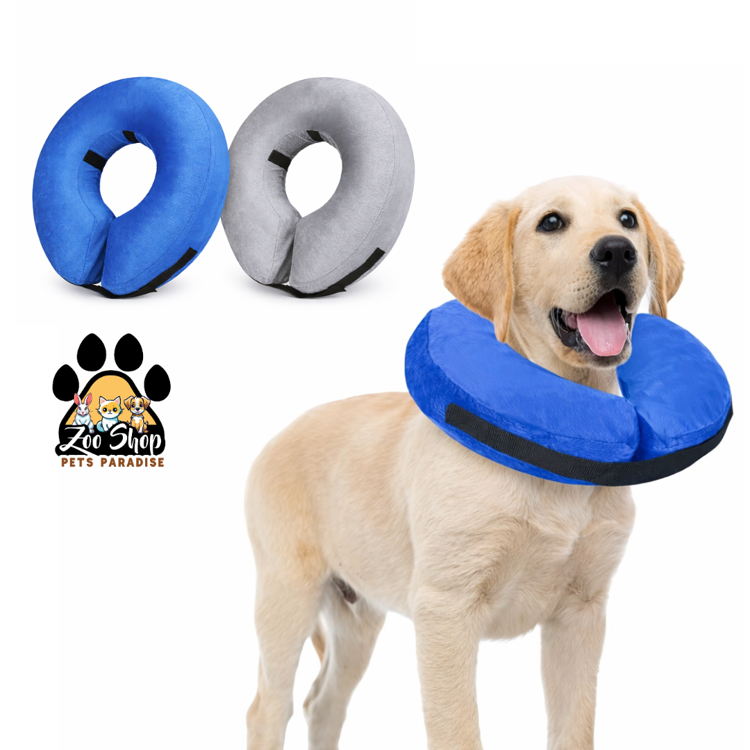 Collar de Recuperación Inflable y Ajustable - Talla XS - Color gris