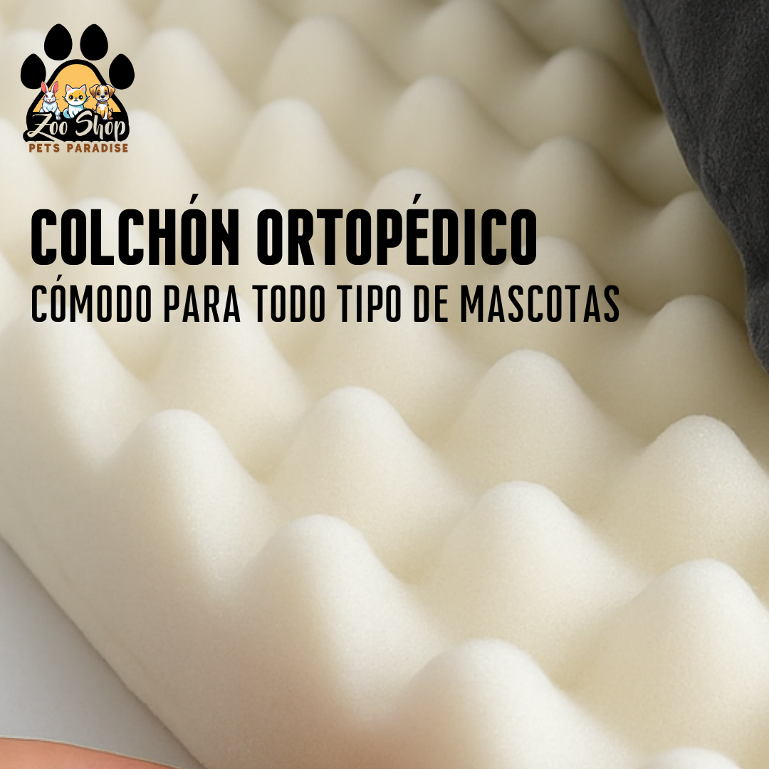 Cama Colchón Ortopédico con Bordes