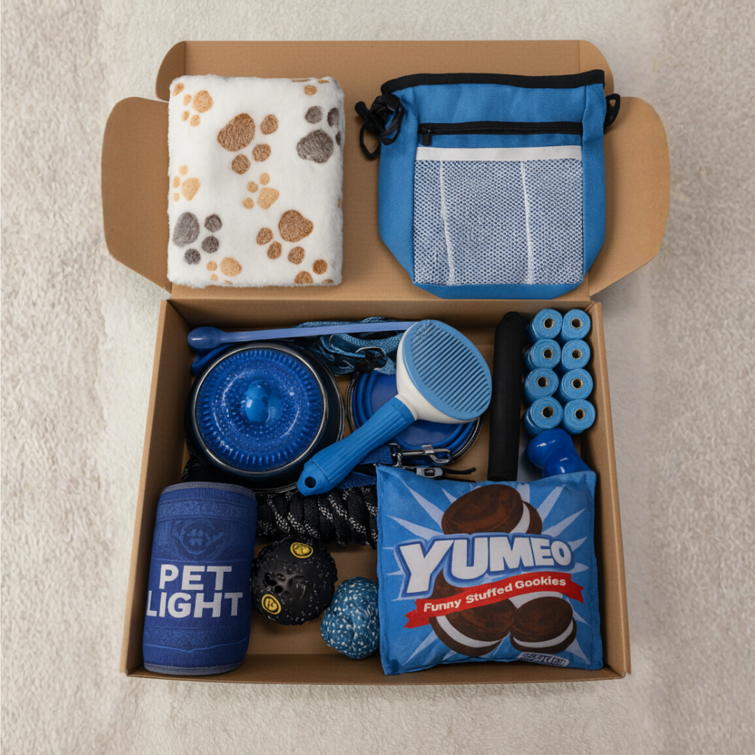 Kit Todo lo Esencial para tu Perro